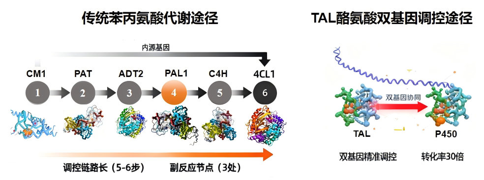 WPS圖片(1).png