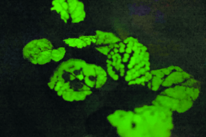 ScreenShot_2026-01-12_155405_172.png
