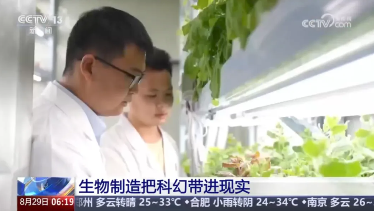 神筆生物：國內首顆高亮度自主發光植物亮相央視新聞