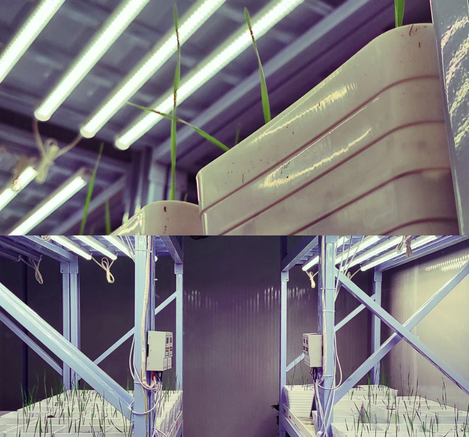 神筆生物全年候智能氣候室正式運營