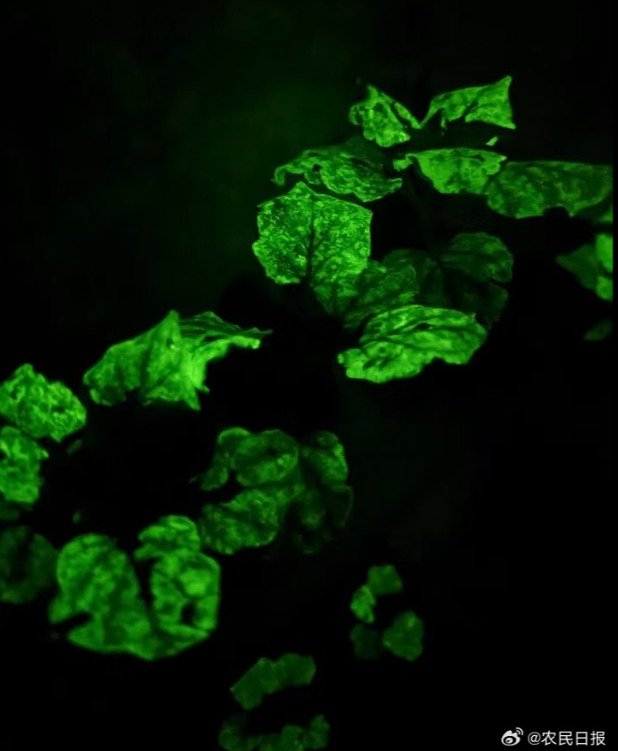 ScreenShot_2026-01-12_161202_296.png