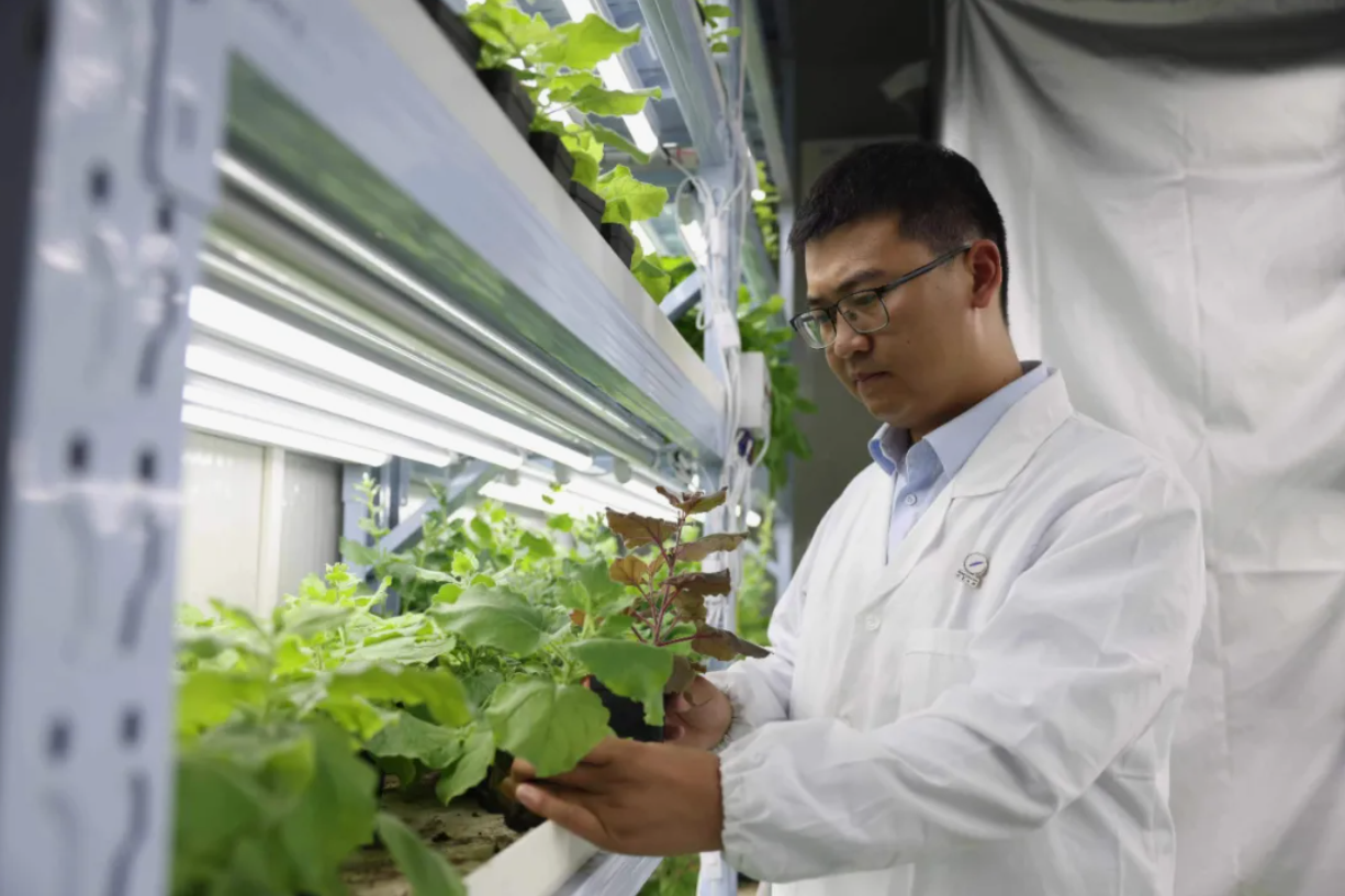 當博士“不務正業”，決定去種一株會發光的植物