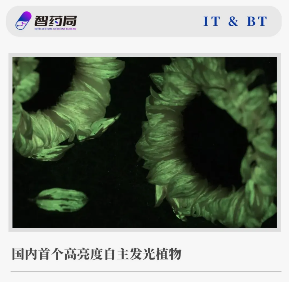 ScreenShot_2026-01-13_085649_761.png