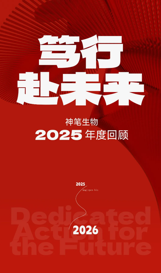 向下扎根 向上發(fā)光 | 神筆生物2025年度回顧